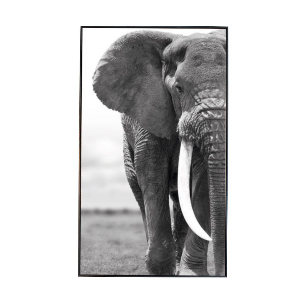 Paveikslas Elephant | paveikslai | NMF Home