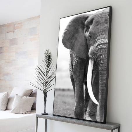 Paveikslas Elephant | paveikslai | NMF Home