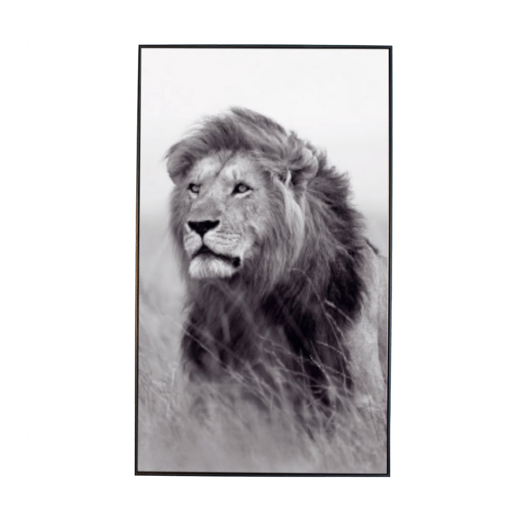 Paveikslas Lion Field | paveikslai | NMF Home