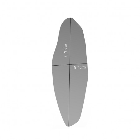 Spogulis Slim
