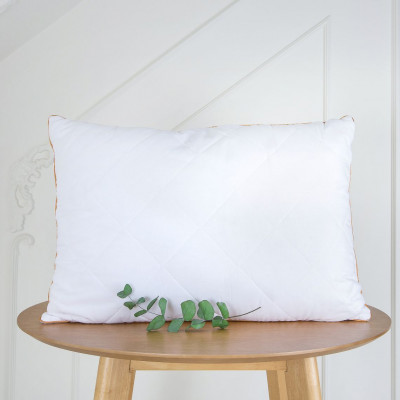 Pillow with bamboo