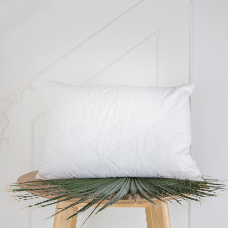 Pillow with Silk | Home textiles