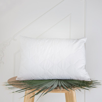 Pillow with Silk | Home textiles