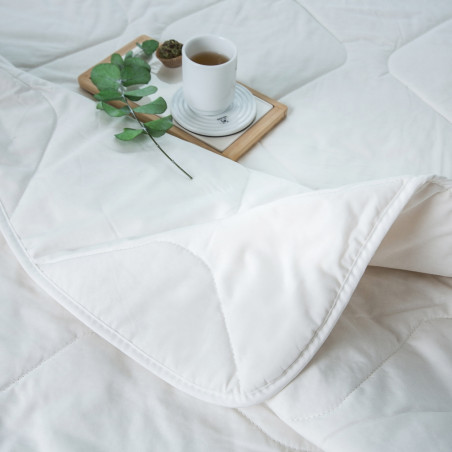 Pillow with Silk | Home textiles