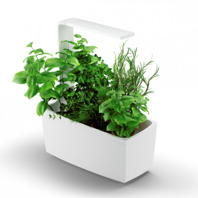 Tregren smart garden T6 | Balts | gudra-maja | NMF Home