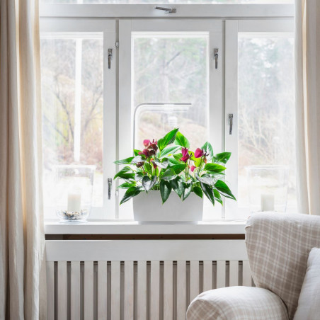 Tregren smart garden T6 | Balts