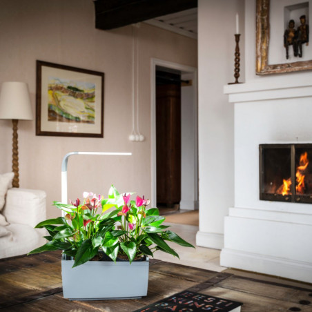 Tregren smart garden T6 | Balts