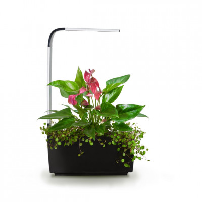 Tregren smart garden T6 | Melns | gudra-maja | NMF Home