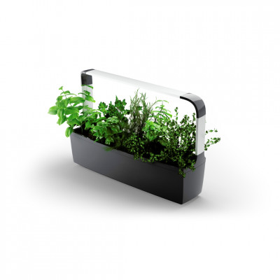 Tregren smart garden T12 | Melns | gudra-maja | NMF Home