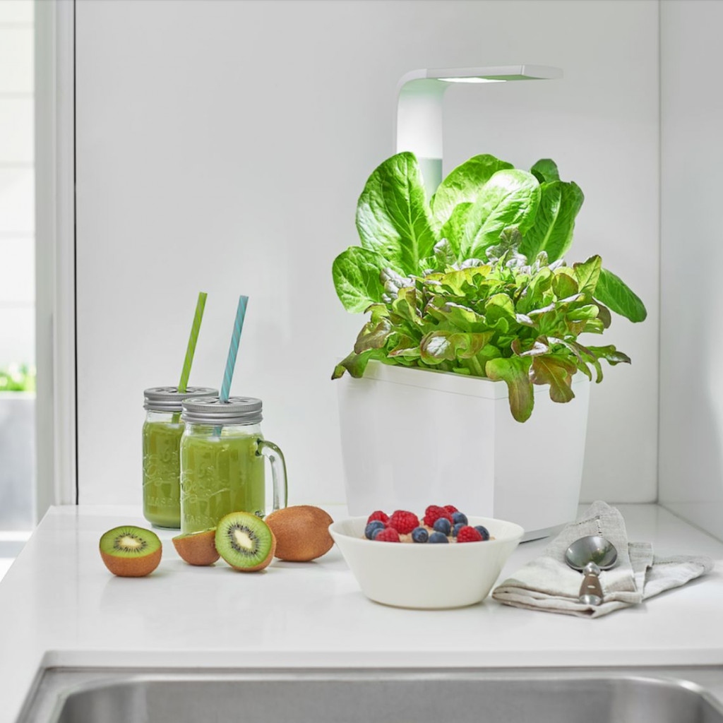 Smart garden T3 | Baltas | ismanieji-namai | NMF Home