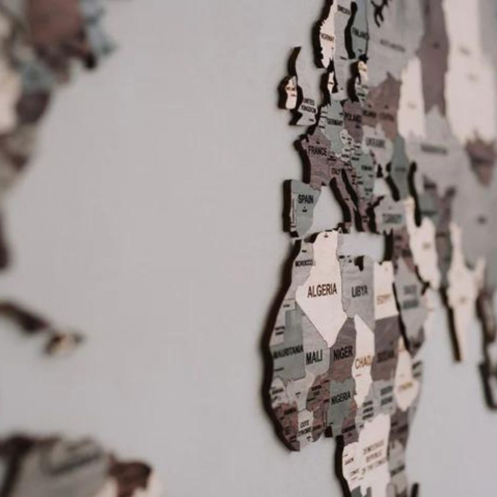 Medinis sieninis pasaulio žemėlapis | Multicolor