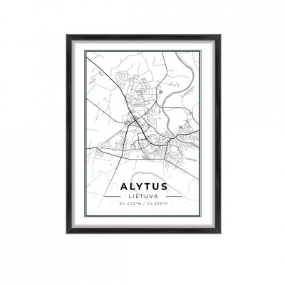 City map Alytus