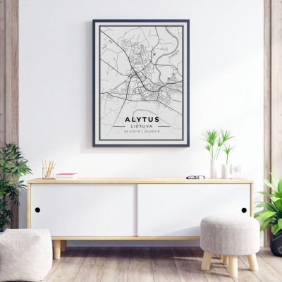 City map Alytus