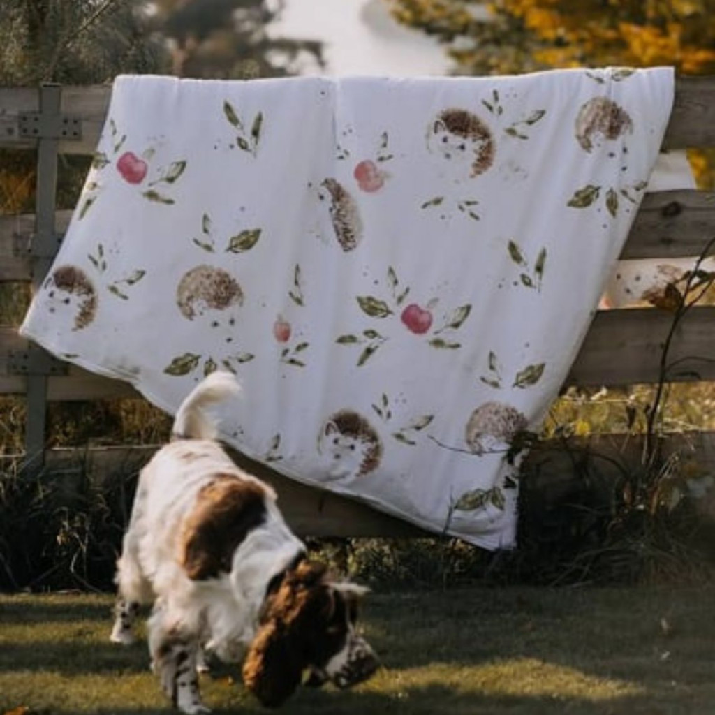 Bed linen set | Hedgehog Bed linen set | Hedgehog