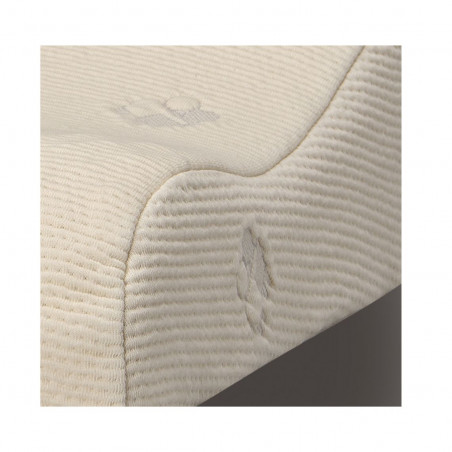 Orthopaedic viscoelastic pillow | Hedgehog