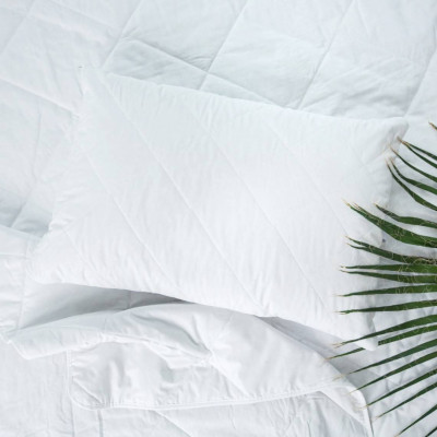 Pillow with Linen