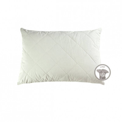 Pillow with Linen