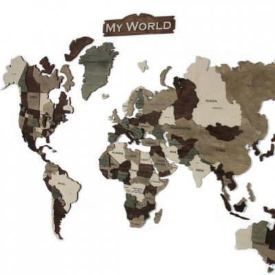 Wooden wall map of the world in 3D
