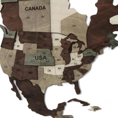 Wooden wall map of the world in 3D
