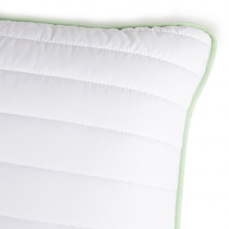 Pillow set Aloe Vera