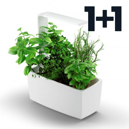Tregren smart garden T6 | Baltas | ismanieji-sodai | NMF Home