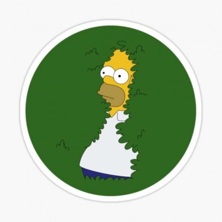 Kilimas Homer Simpson