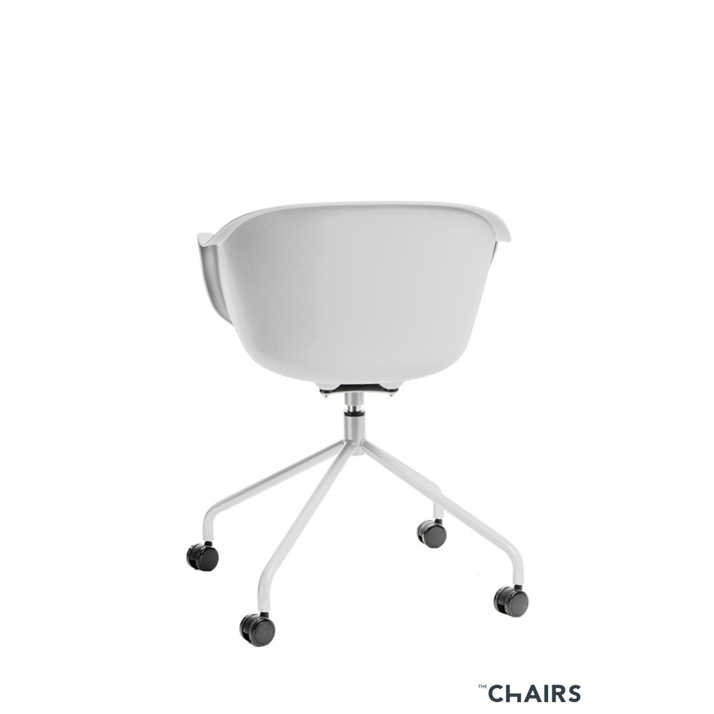 ROUNDY WHITE ROUNDY WHITE