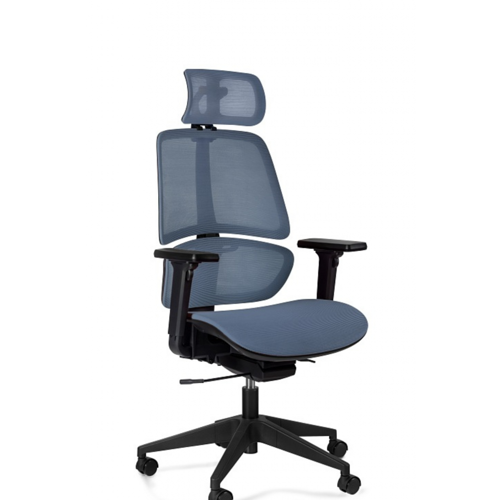 Ergo Blue Ergo Blue