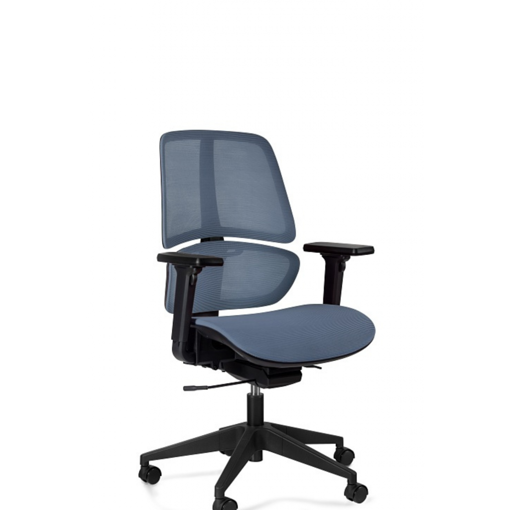 Ergo Low blue Ergo Low blue