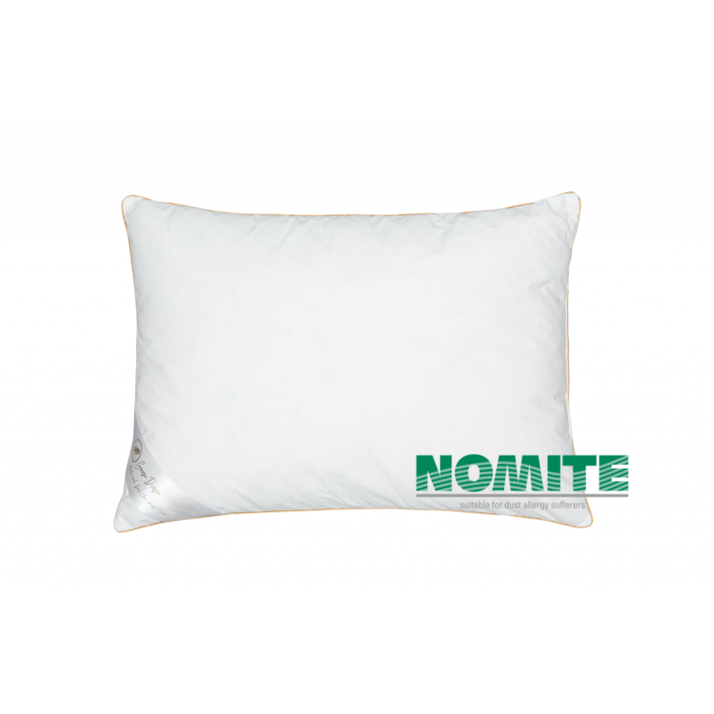 100 % Goose down pillow 100 % Goose down pillow
