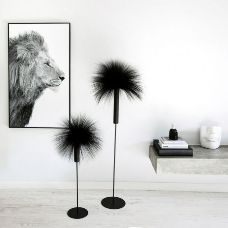 Bilde Lion