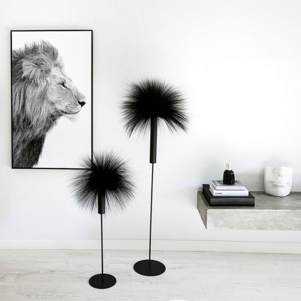 Bilde Lion