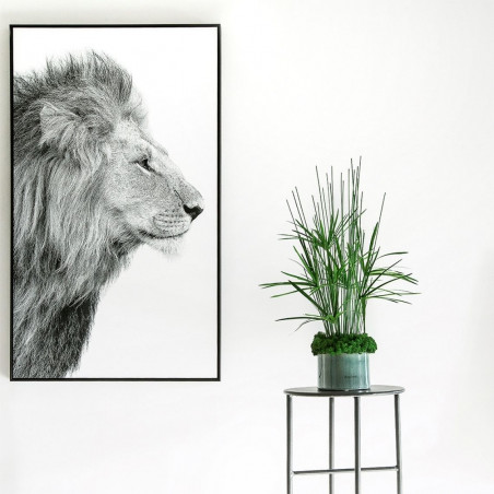 Bilde Lion