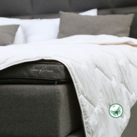 Bedding set with Silk