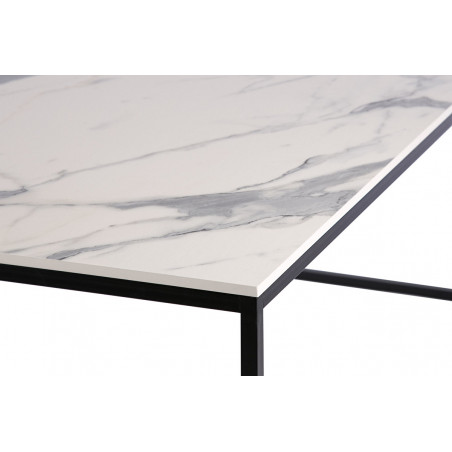 Large coffee table FOREST Marble